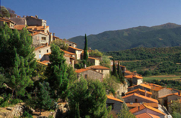 The terraces of Eus, Pyr�n�es-Orientales.